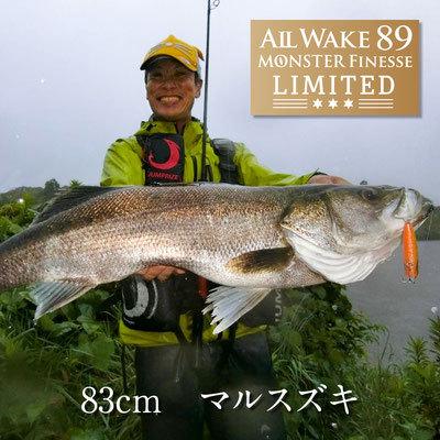 JUMPRIZE（ジャンプライズ） 限定生産 オールウェイク 89 モンスター