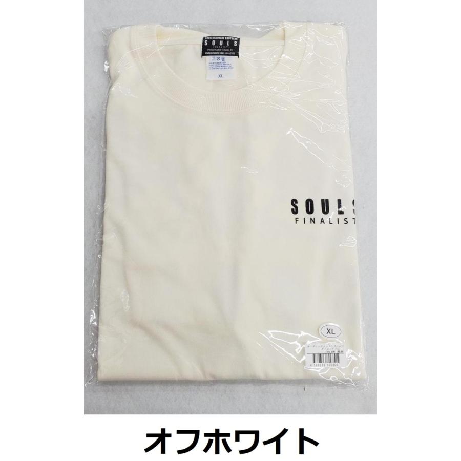 ソウルズ オーガニックコットン厚手Ｔシャツ　タイプ：ドラゴン　全5色｜kintarou-turigu｜03