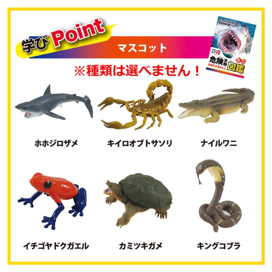 【1ケース(12個入)】 ノルコーポレーション バスボール 発泡タイプの入浴剤 学研の図鑑ライブ 恐竜BIG GKN1201X12【送料無料】 学研の図鑑ライブ 危険生物 バスボール スプラッシュグレープソーダの