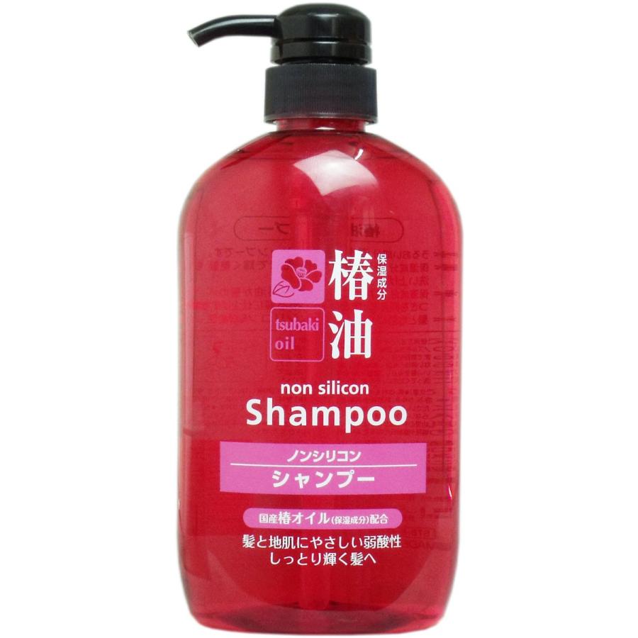 TKコーポレーション 椿油 ノンシリコンシャンプー 600mL TKコーポレーション 椿油 ノンシリコンシャンプー 600mL