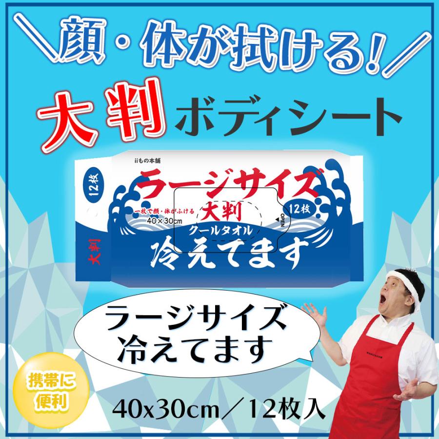 大判 クールタオル ラージサイズ冷えてます 40×30cm 12枚入 : 金太郎