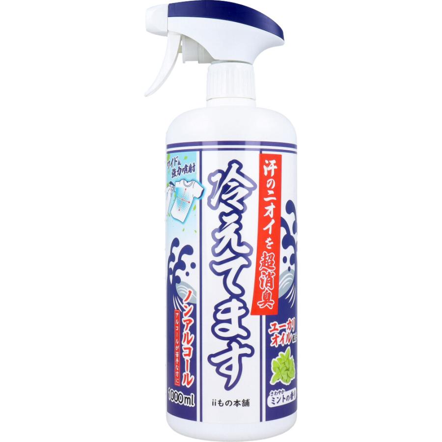 iiもの本舗 超消臭 冷えてますスプレー ノンアルコールタイプ 1000mL