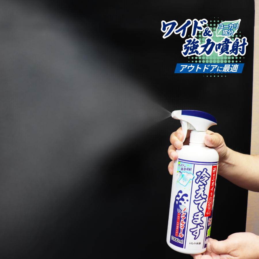 iiもの本舗 超消臭 冷えてますスプレー ノンアルコールタイプ 1000mL