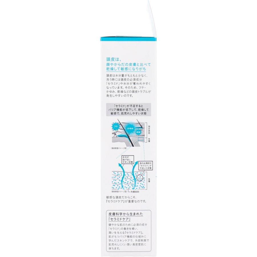 Curel キュレル 潤浸保湿 頭皮保湿ローション 120mL : 金太郎SHOP