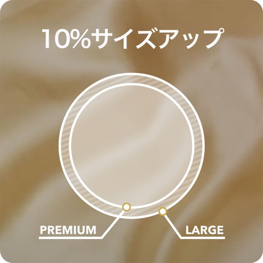 不二ラテックス SKYN LARGE ソフトノンラテックスコンドーム 不二ラテックス SKYN LARGE ソフトノンラテックスコンドーム