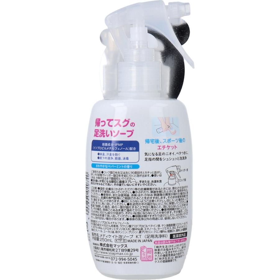 マックス（MAX） 薬用柿渋 帰ってスグの足洗いソープ 250mL : 金太郎