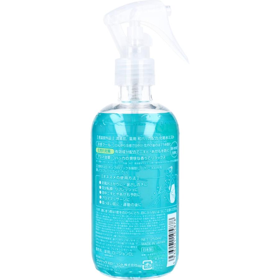 ショッピング 潤素肌 薬用和ハッカ水ミスト 250ml お見舞い