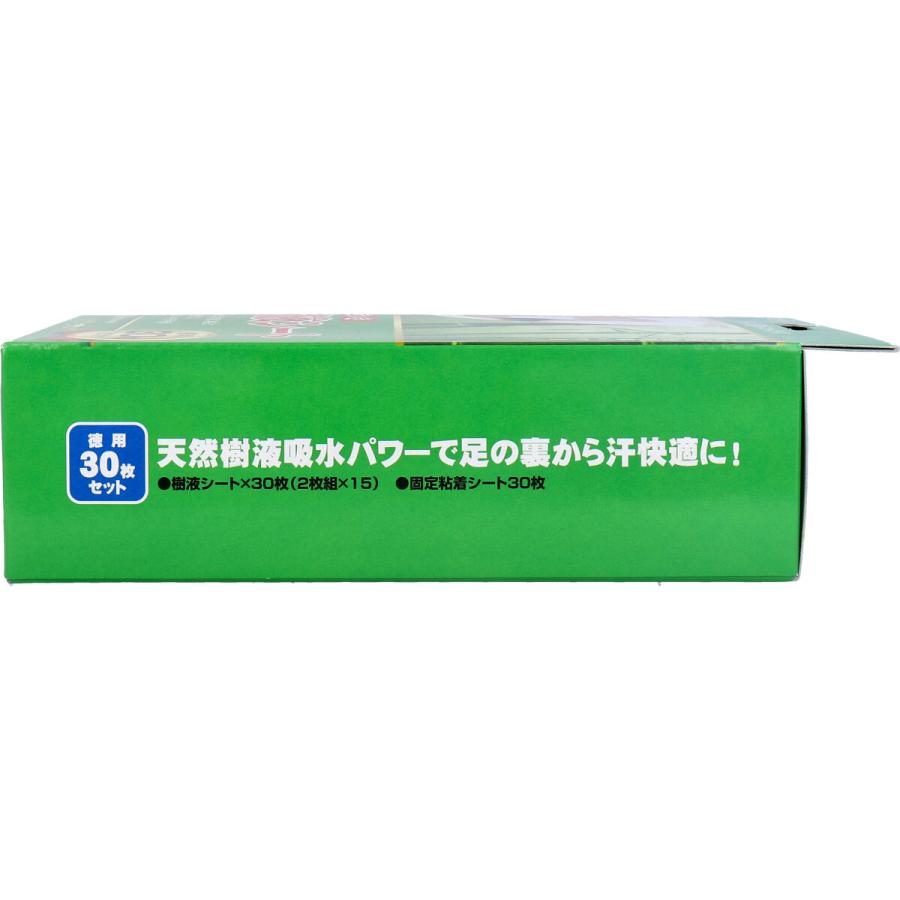 東京企画販売 トプラン いきいき樹液シート 徳用30枚セットX3箱セット