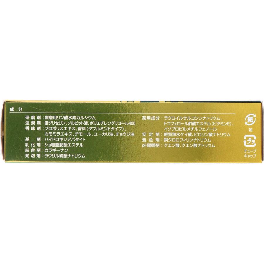 森川健康堂 薬用歯みがき ネオセプデント EX 80g : 金太郎SHOP - 通販