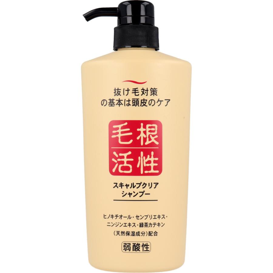 ジュン・コスメティック スキャルプクリア シャンプー 550mL : 金太郎