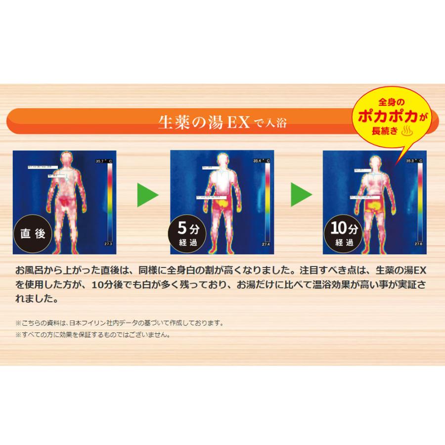 薬用入浴剤 生薬の湯EX ティーバッグ式 30g×10包入 : 金太郎SHOP