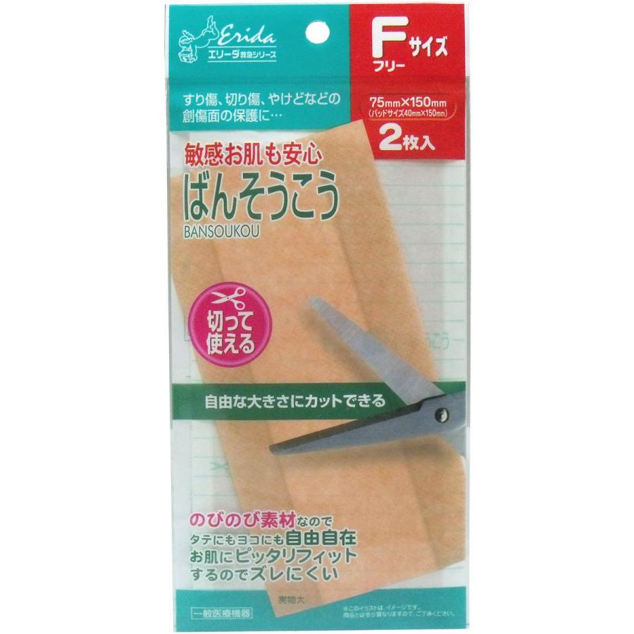 敏感お肌も安心 ばんそうこう 豪華な フリーサイズ ２枚入 ７５ｍｍ １５０ｍｍ