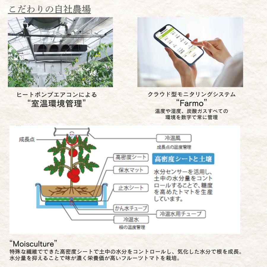 TBSラヴィット放映 フルーツ トマトジュース 保存料 無添加 ギフト ギフトセット 贈答 内祝い ストレート ジュース 花吉野 送料無料 HANAYOSHINO 170ml4本入 | ブランド登録なし | 07
