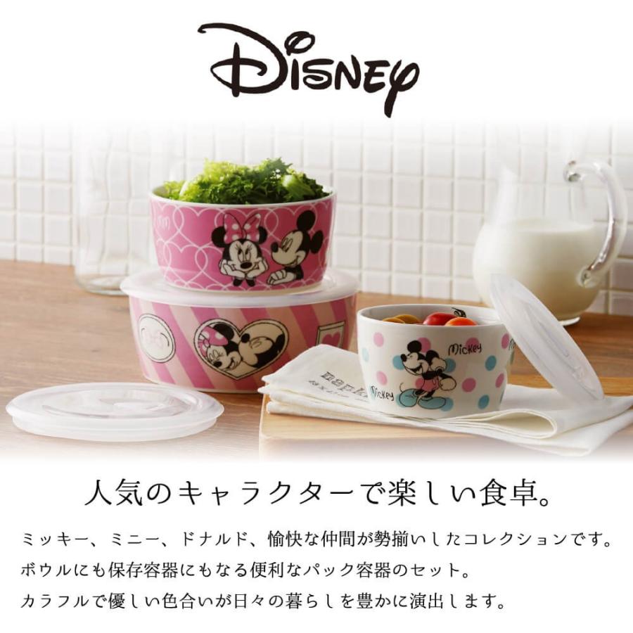 直営店に限定 ディズニー レンジパックセット 母の日 プレゼント 22 ミッキー ミニー レンジパック 3点セット レンジok 保存容器 食器 おしゃれ 新生活 結婚祝い 誕生日 Wantannas Go Id