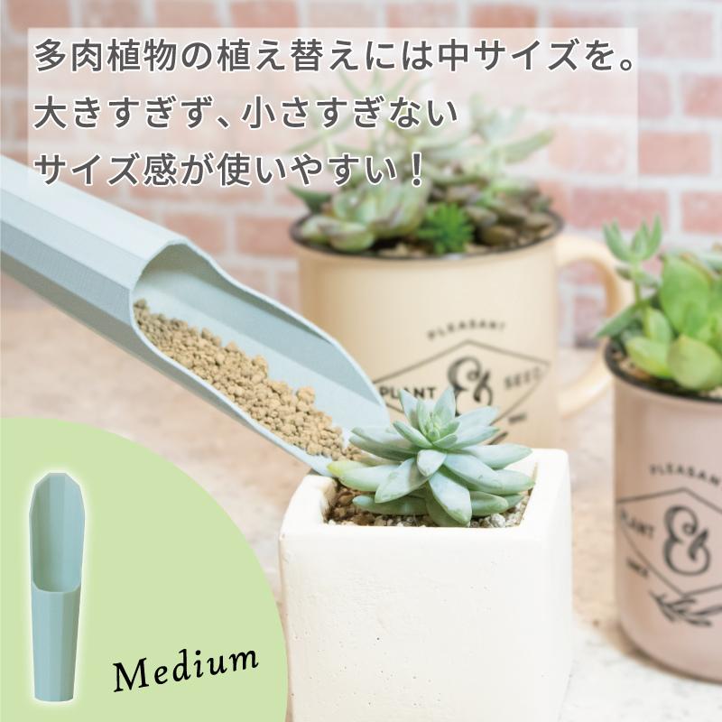 Top【選抜株】多肉植物　80573アンストーン　55個　鉢無し/脱土 浅香工業 FG プラ多肉に使える土入れ3点セット ミスティグリーン 多肉