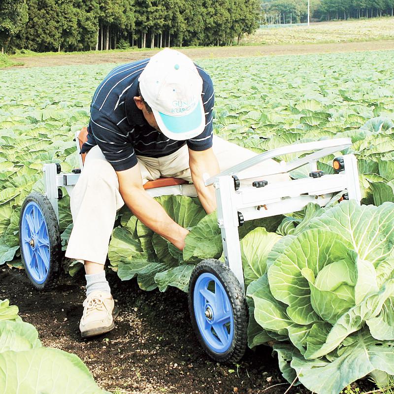 収穫台車 レタス キャベツ 農業