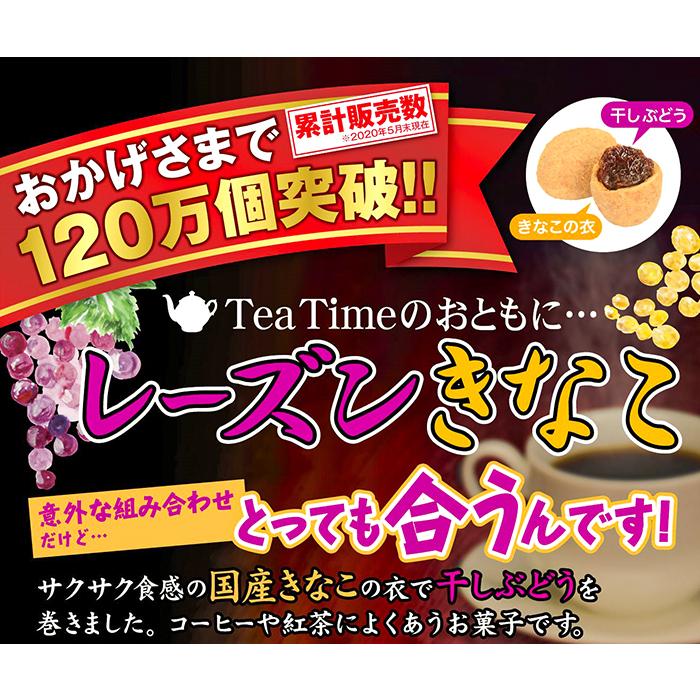 送料無料】国産きなこ使用！レーズンきなこ 85g×5個 サクサク食感 干し