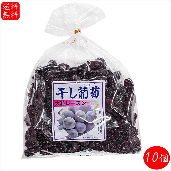 偽干葡萄 送料無料】干し葡萄 370g×10個 添加物不使用 ドライフルーツ 干し
