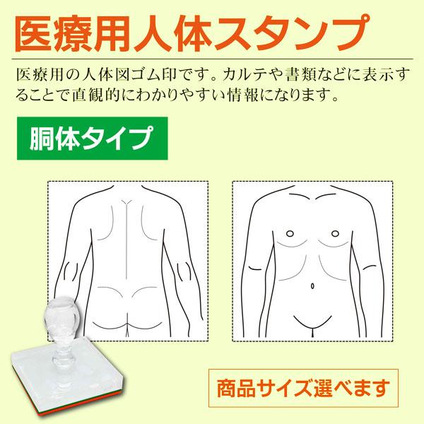医療用人体図ゴム印 胴体タイプ 正面 背面 大小サイズ選べる カルテ