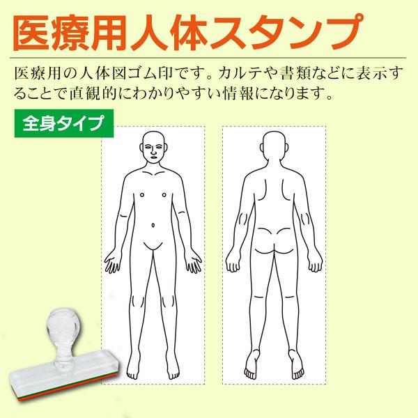 医療用人体図ゴム印 全身タイプ 正面 背面 大小サイズ選べる カルテ
