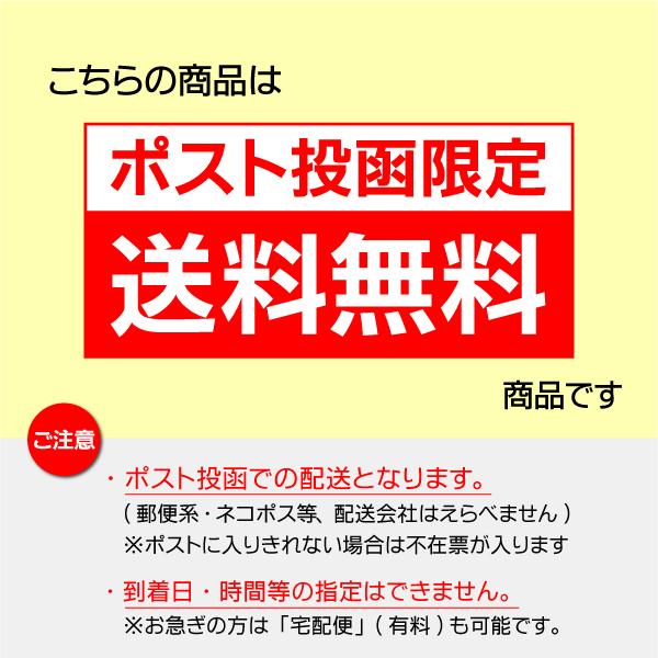 熊ネーム印 インク内蔵型 ジョインティ 動物イラストスタンプ ポスト