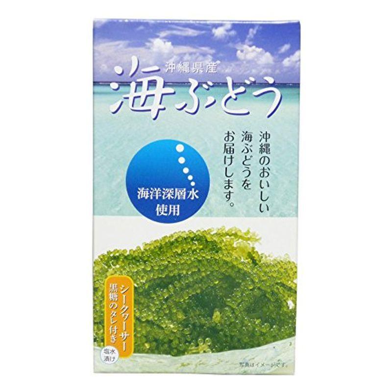 海洋深層水使用 沖縄県産 海ぶどう 60g 4箱 生ワカメ 茎ワカメ Integrative Med Br