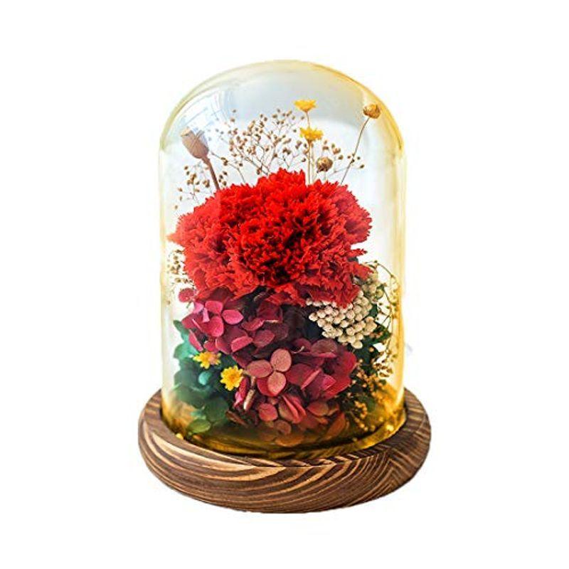 直販超安い プリザーブドフラワー プレゼント ギフト 枯れない花 バレンタインデー フラワー 花 カーネーション フラワーアレンジ ドーム型 レッド 母 特注販売中 M Balneariogaivota Sc Gov Br