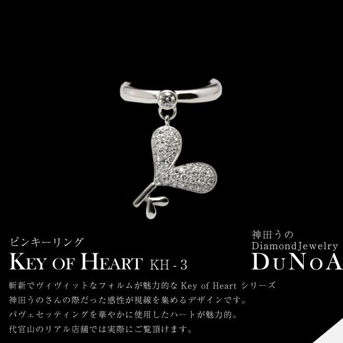 ピンキーリング Pt 神田うのダイヤモンドジュエリー DuNoA 