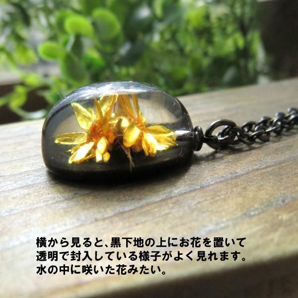 極上　ネックレス　天然素材 　和装小物　骨董　美術品　アンティーク 極上ネックレス天然素材 和装小物骨董美術品アンティーク