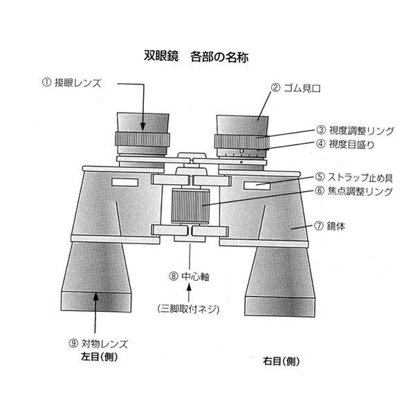 売り切れました] 日本製 NASHICA（ナシカ） 究極の双眼鏡 ナイト