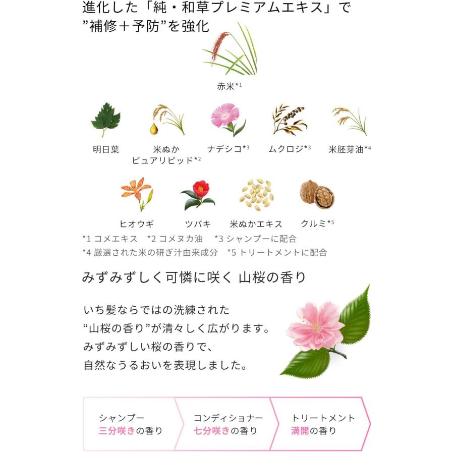 Kracie（クラシエ） いち髪 なめらかスムースケア シャンプー つめかえ