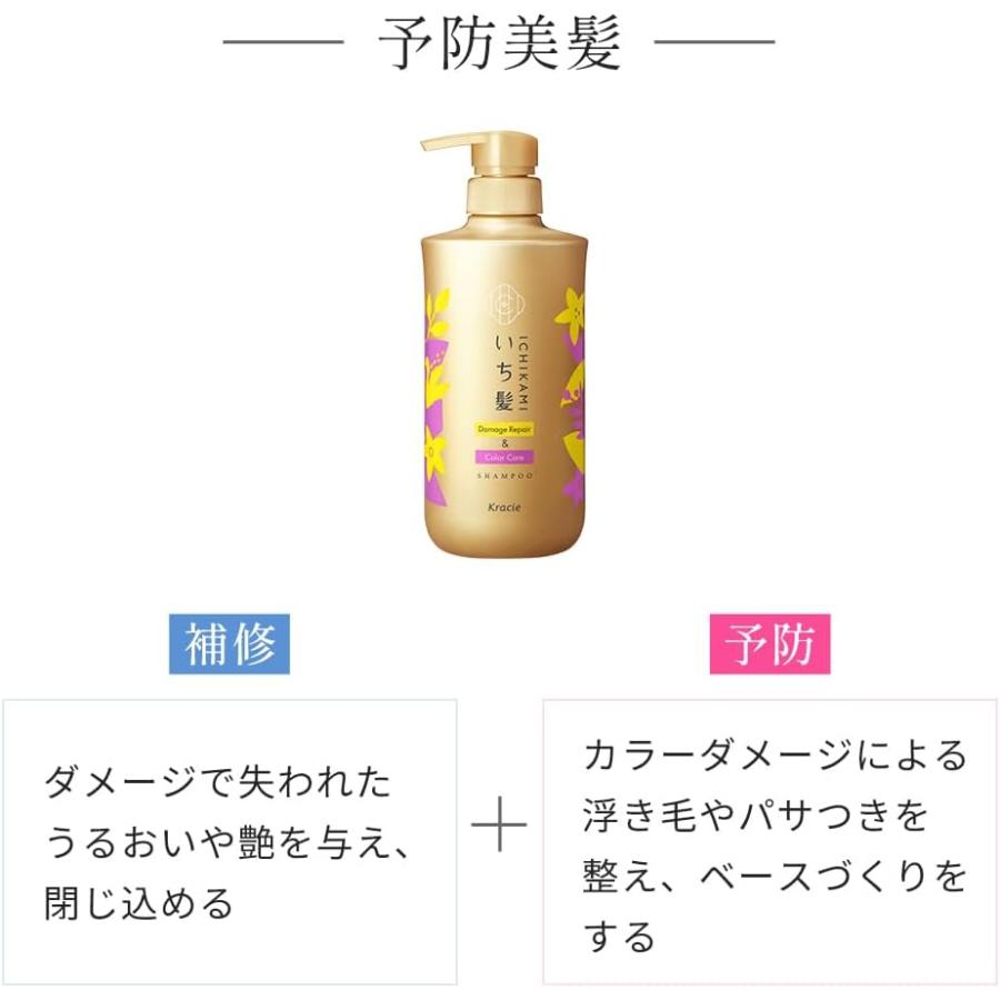 ●12セット いち髪  ダメージリペア \u0026 カラーケア  ポンプ セット シャンプー 480ml コンディショナー 480gの画像