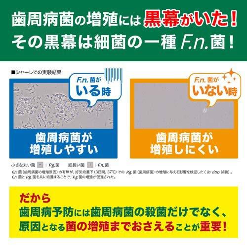 [売り切れました] サンスター GUM プラス デンタルペースト ハーブミント 120g |  | 02