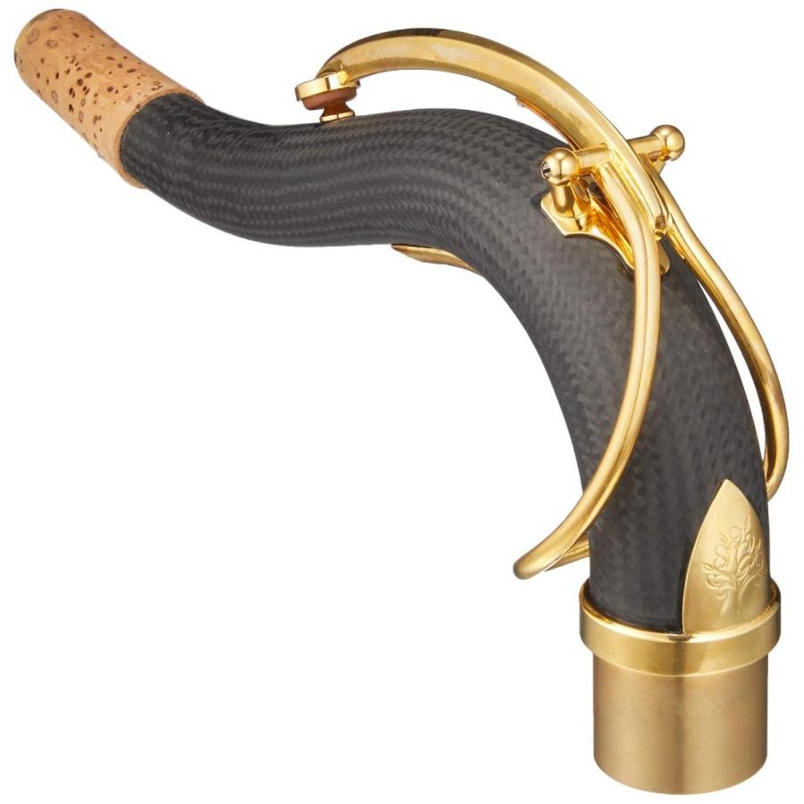 在庫有 Forestone Carbon Neck For Tenor Sax フォレストーン カーボンネック テナーサックス用 最安値に挑戦 Zoetalentsolutions Com
