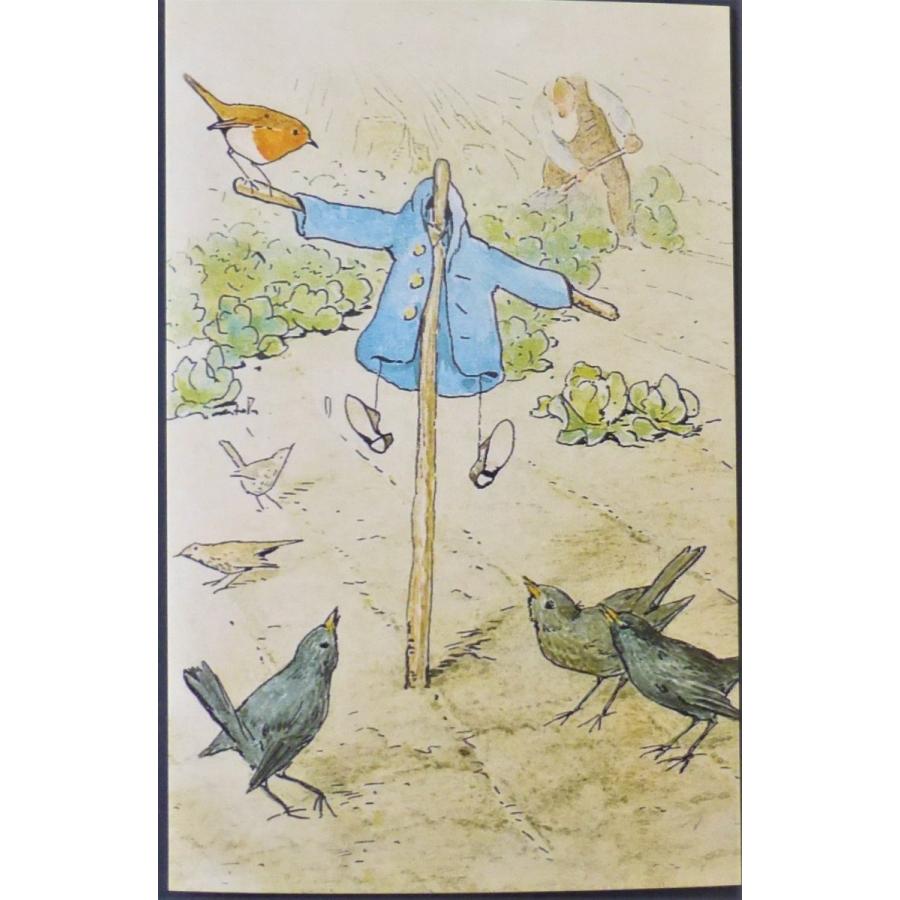 □ポストカード ピーターラビットシリーズ ピーターラビットの