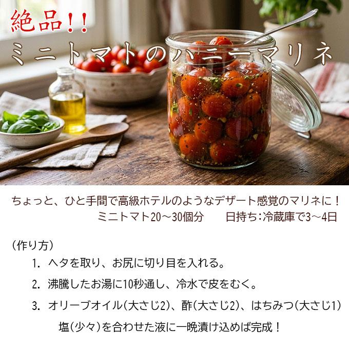 ちょい値下】 JA直送 熊本県産 特選ミニトマト玉宝1.5kg 送料無料