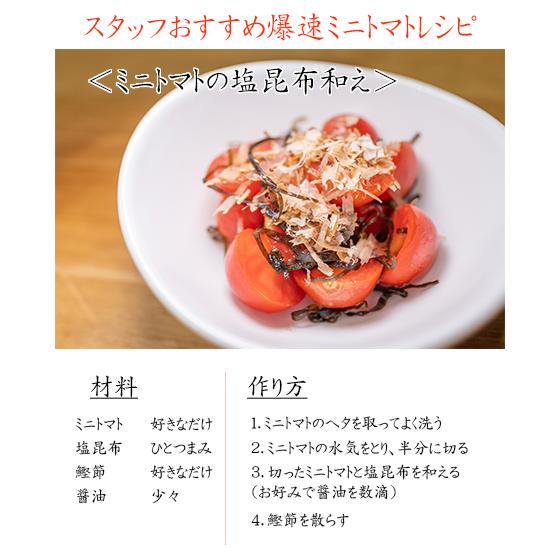 熊本県産 特選ミニトマト玉宝12kg(3kg箱×4) <JA直送> 送料無料 熊本県産 特選ミニトマト玉宝12kg(3kg箱×4) <JA直送> 送料無料
