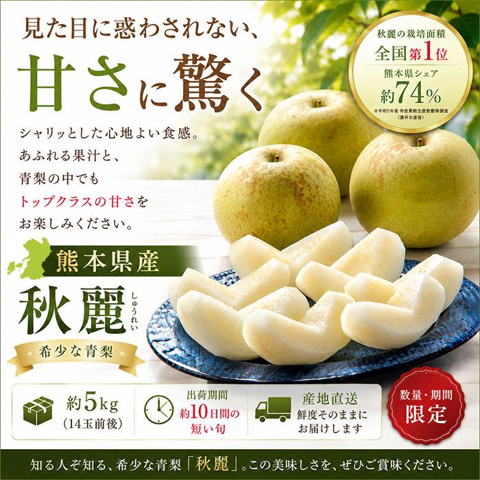 予約商品】熊本県産 梨 秋麗（しゅうれい）5kg(14玉前後) 希少品種 光