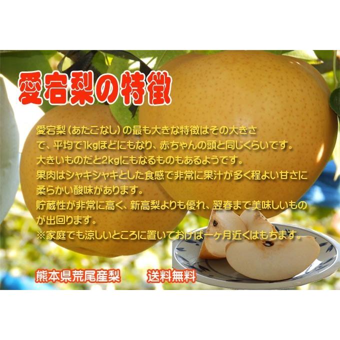 送料無料 九州 熊本 特大ジャンボ梨 荒尾梨 愛宕 あたご 名産品で贈答にも最適 2 406 きらめきたまな 通販 Yahoo ショッピング