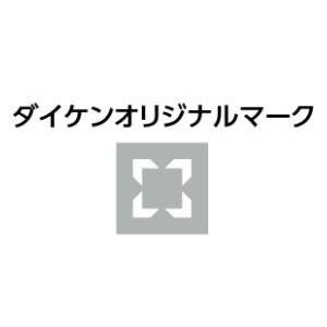 ダイケン　ポスト　集合郵便受　前入れ前出し・2戸用・横型　CSP-131Y-2DK