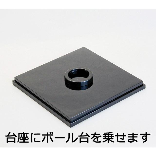 コレクションケース サインボールケース（ハンドボール用）UVカット