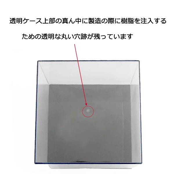 コレクションケース レギュラー18 UVカット 展示ケース : プラスチック