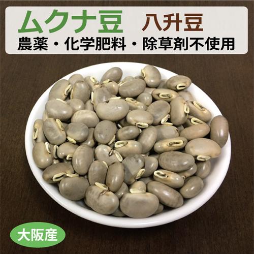 無肥料無農薬自然栽培　むくなまめ 楽天市場】楽天ロジ便【 送料無料 】 「 自然栽培 ムクナ豆