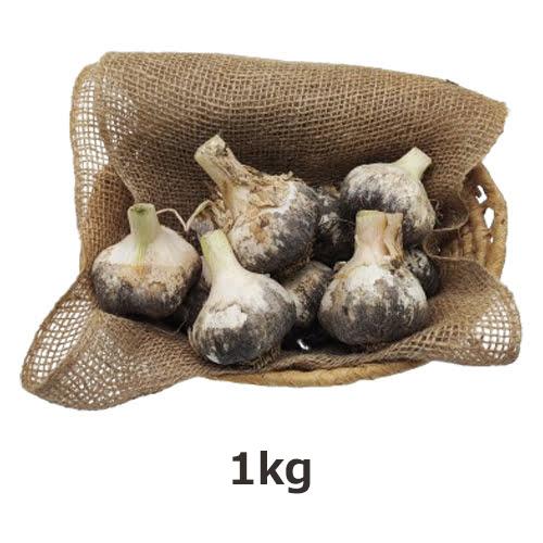 専用出品　農薬未使用　土佐ニンニク2.5kg 専用出品 農薬未使用 土佐ニンニク2.5kg 【公式通販】
