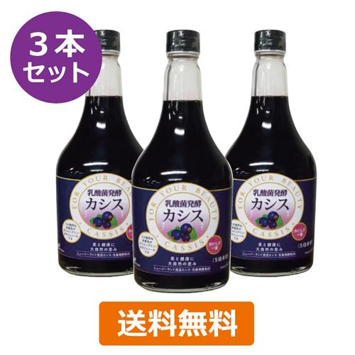 乳酸菌発酵カシス 565ml×3本セット ※送料無料（一部地域を除く）※同梱
