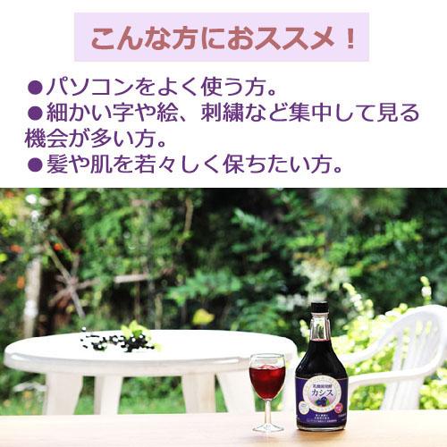 乳酸菌発酵カシス 565ml×3本セット ※送料無料（一部地域を除く）※同梱