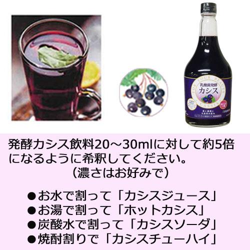 乳酸菌発酵カシス 565ml×3本セット ※送料無料（一部地域を除く）※同梱