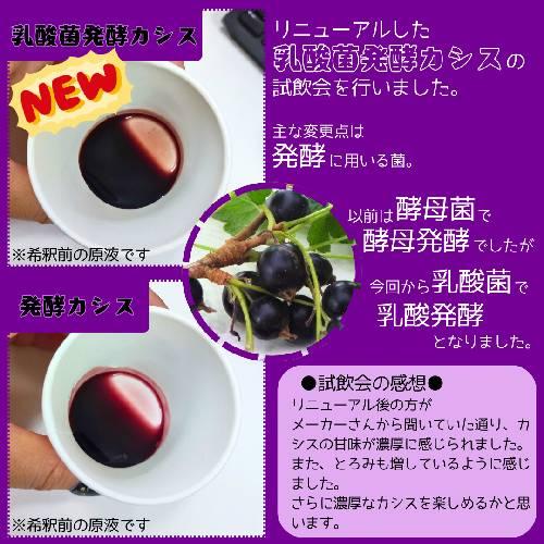 乳酸菌発酵カシス 565ml×3本セット ※送料無料（一部地域を除く）※同梱