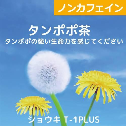タンポポ茶 ショウキT-1PLUS1箱+無添加プレミアム玉ねぎドレッシング