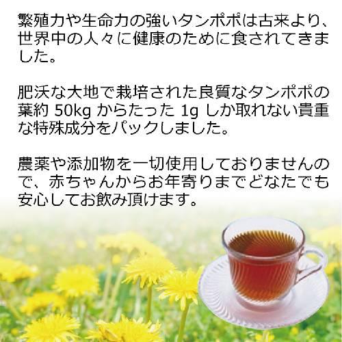 タンポポ茶 ショウキT-1PLUS1箱+無添加プレミアム玉ねぎドレッシング